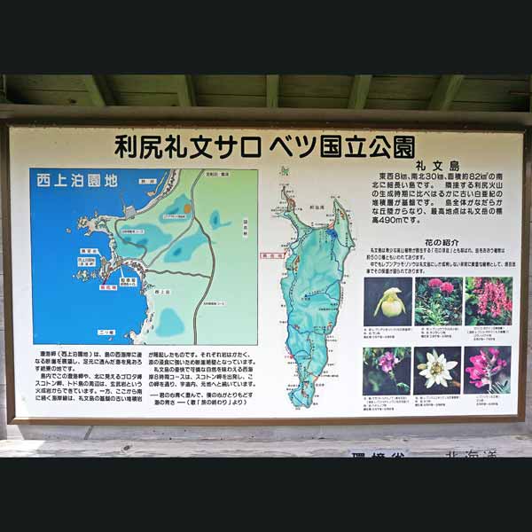 看板 澄海岬・礼文島について