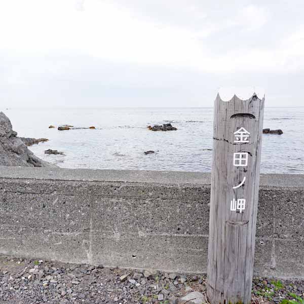 礼文島 金田ノ岬