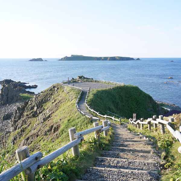 礼文島 スコトン岬 遊歩道