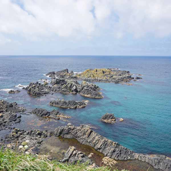 礼文島 澄海岬 日本海