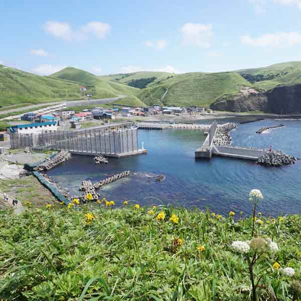 礼文島 澄海岬 西上泊港
