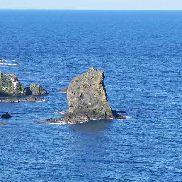 礼文島 桃台猫台展望台 猫岩