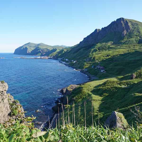 礼文島 桃台猫台展望台 北方面