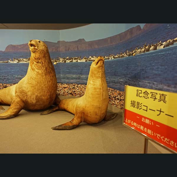 礼文島 礼文町郷土資料館 記念写真撮影コーナー