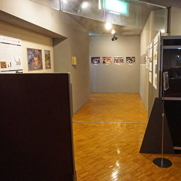 礼文島 礼文町郷土資料館 企画展示