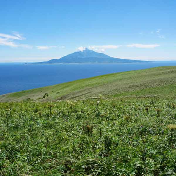 礼文島 桃岩展望台 利尻山
