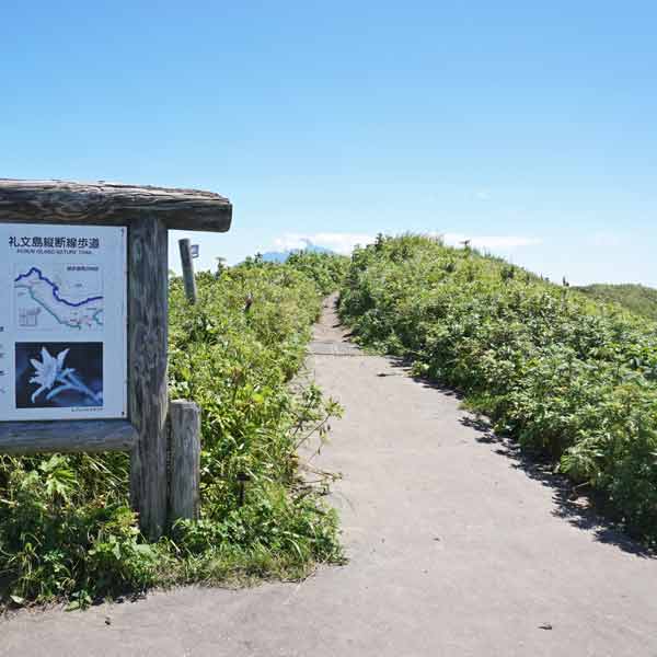 礼文島 桃岩展望台 トレイルコース