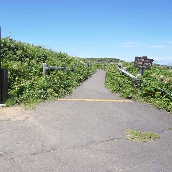 礼文島 桃岩展望台 桃岩口