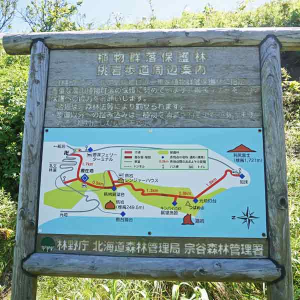 看板 植物群落保護林・桃岩歩道周辺案内について