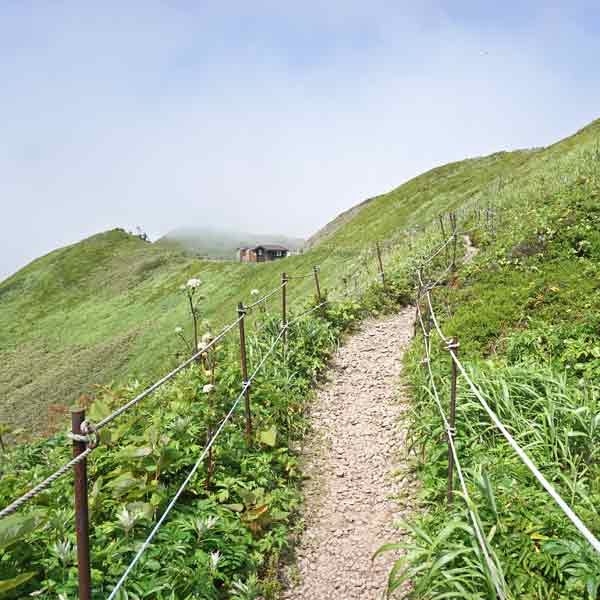 礼文島 礼文林道コース ルート