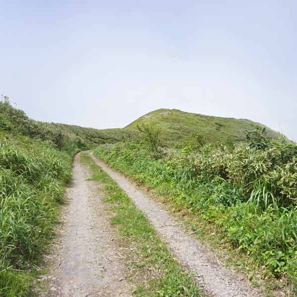 礼文島 礼文林道コース ルート