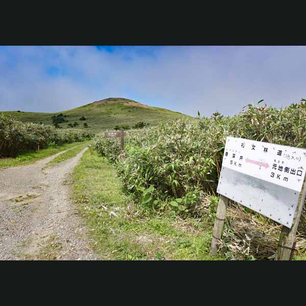 礼文島 礼文林道コース 分岐