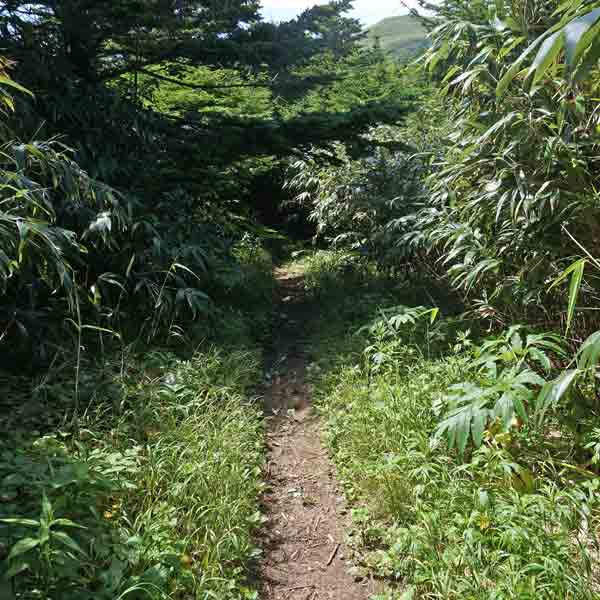 礼文島 礼文滝コース ルート