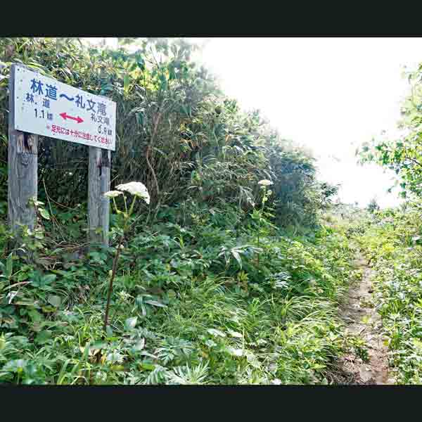 礼文島 礼文滝コース ルート