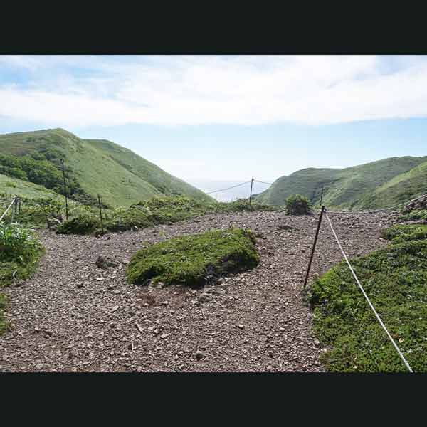 礼文島 礼文滝コース ペータの丘