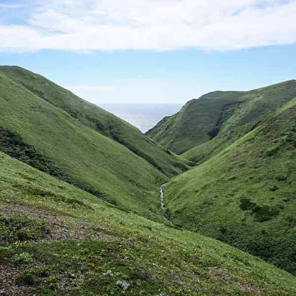礼文島 礼文滝コース ハイジの谷