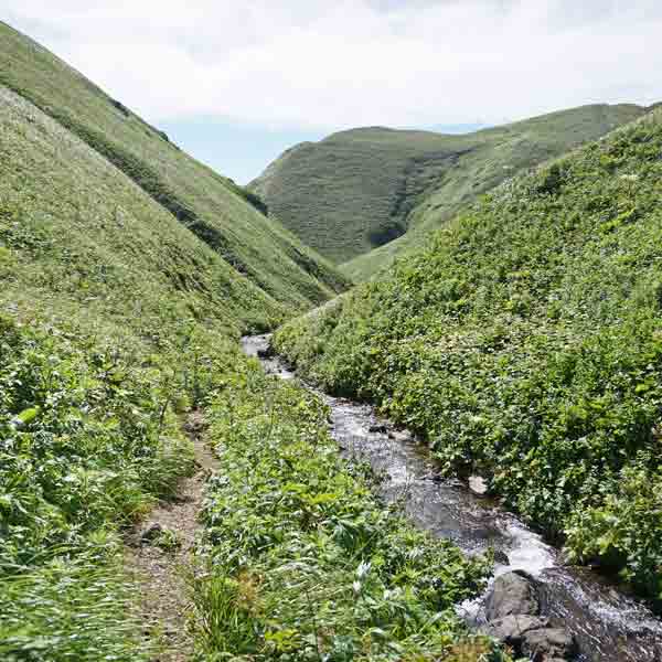 礼文島 礼文滝コース ルート
