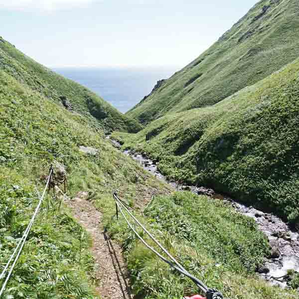 礼文島 礼文滝コース ルート