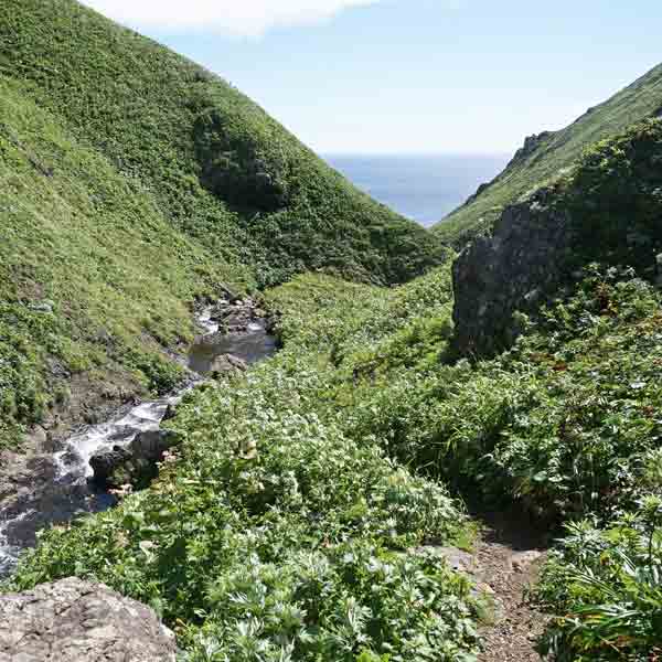 礼文島 礼文滝コース ルート