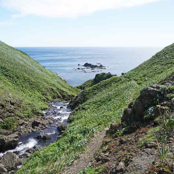 礼文島 礼文滝コース ルート