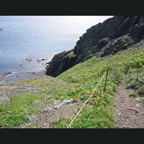 礼文島 礼文滝コース ルート