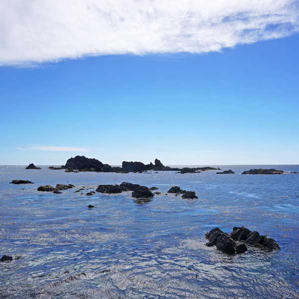 礼文島 礼文滝コース 日本海