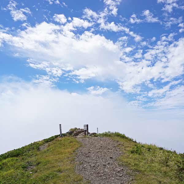 礼文島 礼文岳コース 礼文岳山頂