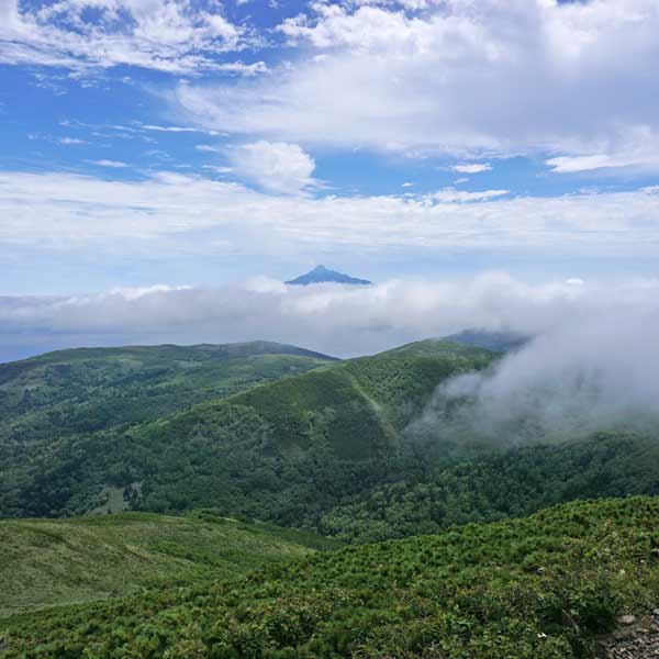 礼文島 礼文岳コース 礼文岳山頂