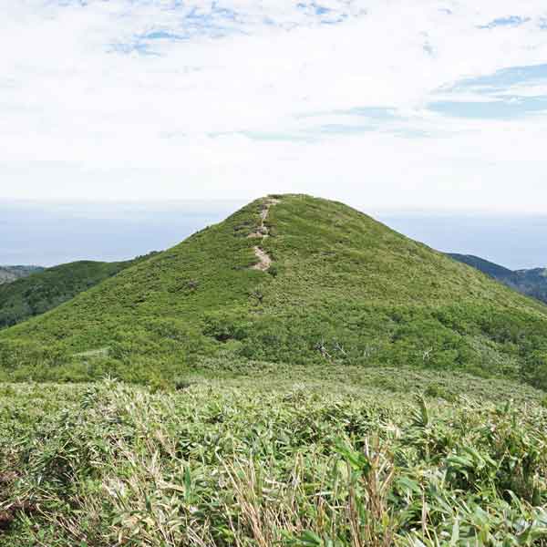 礼文島 礼文岳コース ニセ山頂