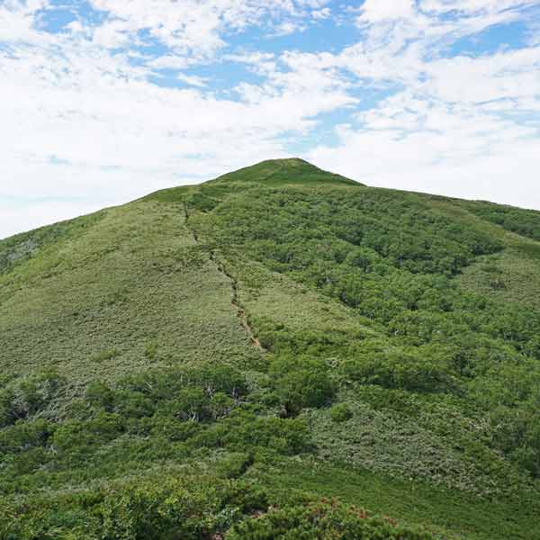 礼文島 礼文岳コース 礼文岳