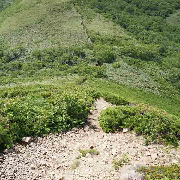 礼文島 礼文岳コース ルート