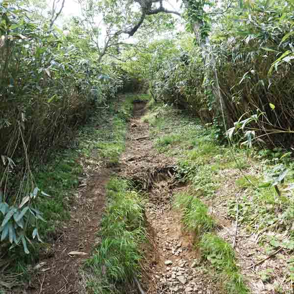 礼文島 礼文岳コース ルート