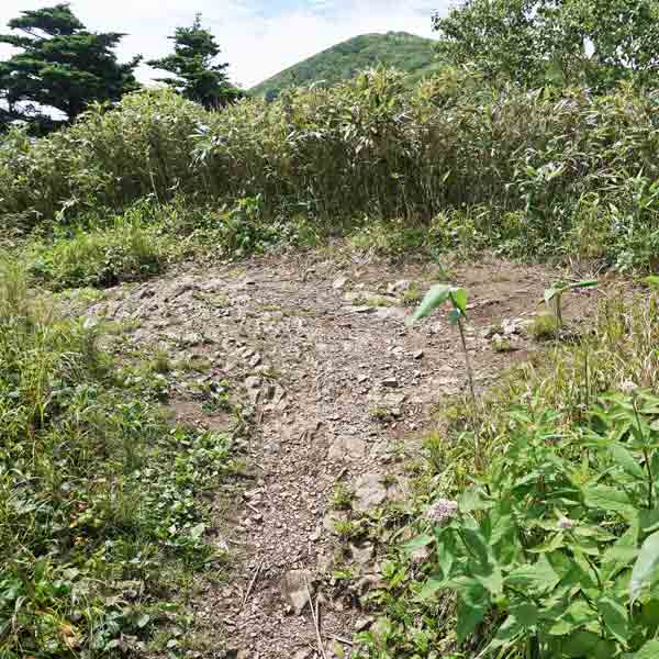 礼文島 礼文岳コース ルート