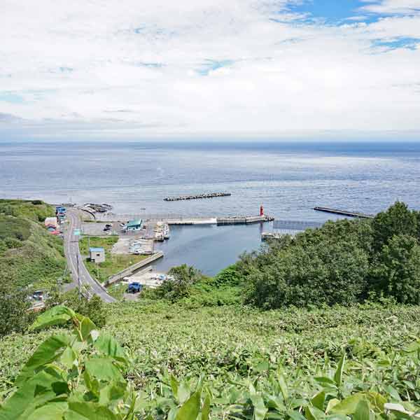 礼文島 礼文岳コース 内路の漁港