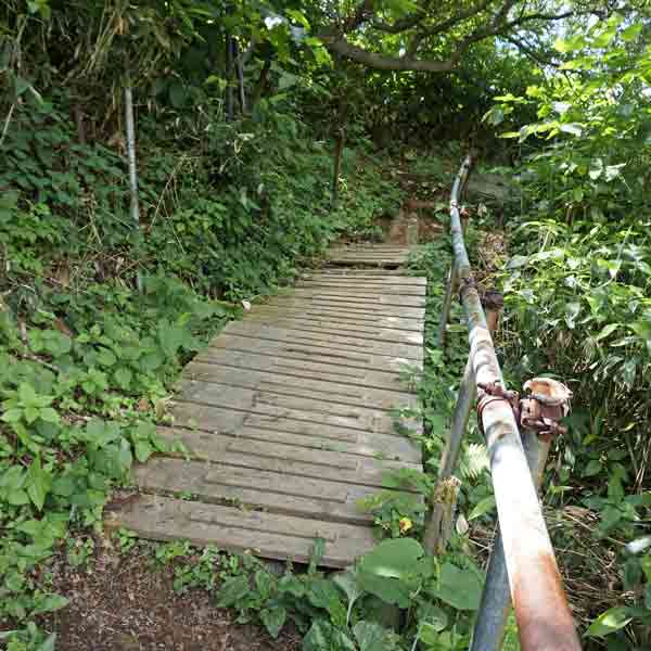 礼文島 礼文岳コース ルート