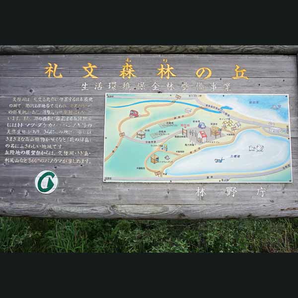 看板 礼文森林の丘について