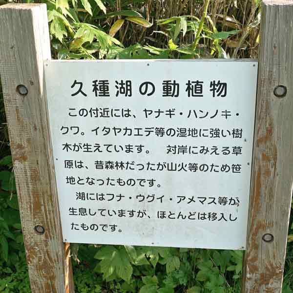 看板 久種湖の動植物について