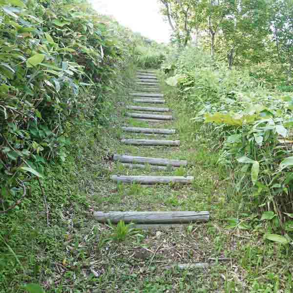 礼文島 久種湖畔コース ルート
