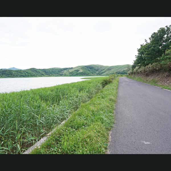 礼文島 久種湖畔コース ルート