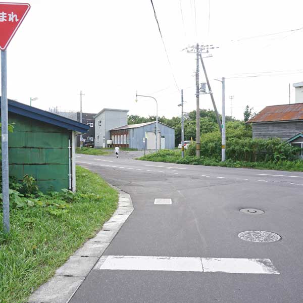 礼文島 久種湖畔コース 分岐