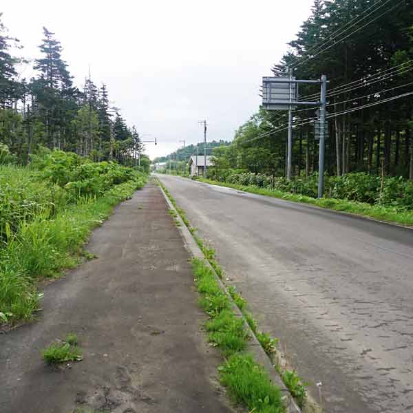 礼文島 8時間コース ルート