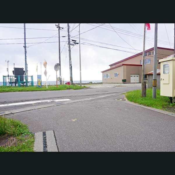 礼文島 8時間コース 分岐