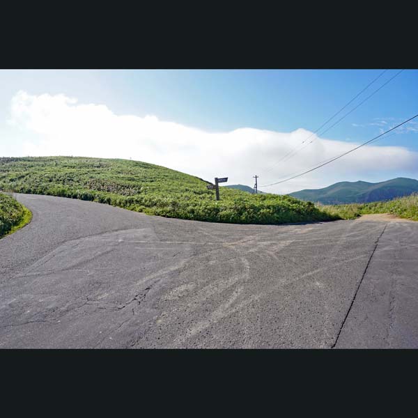 礼文島 岬めぐりコース ルート