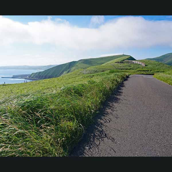 礼文島 岬めぐりコース ルート