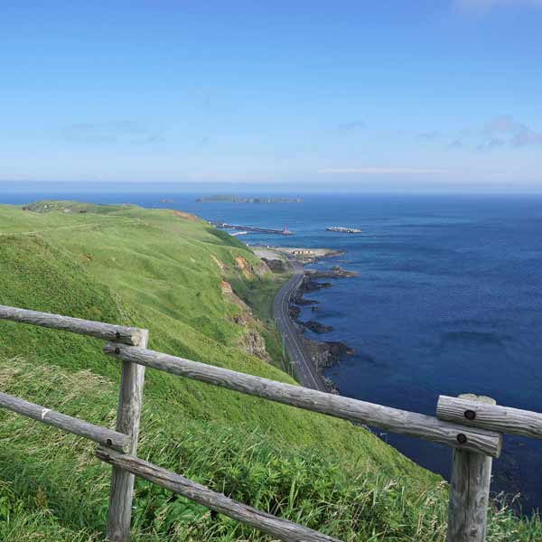 礼文島 岬めぐりコース トド島展望台