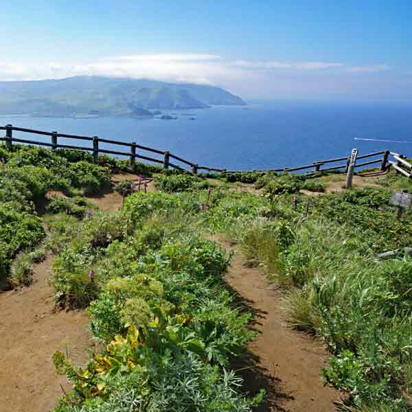 礼文島 岬めぐりコース ゴロタ岬