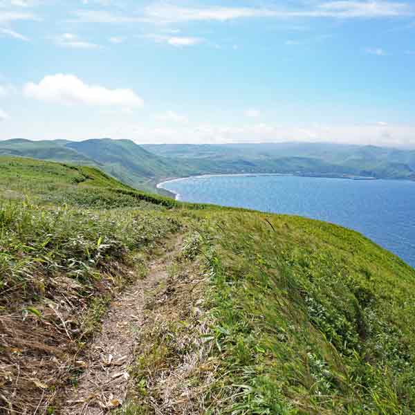 礼文島 岬めぐりコース ルート