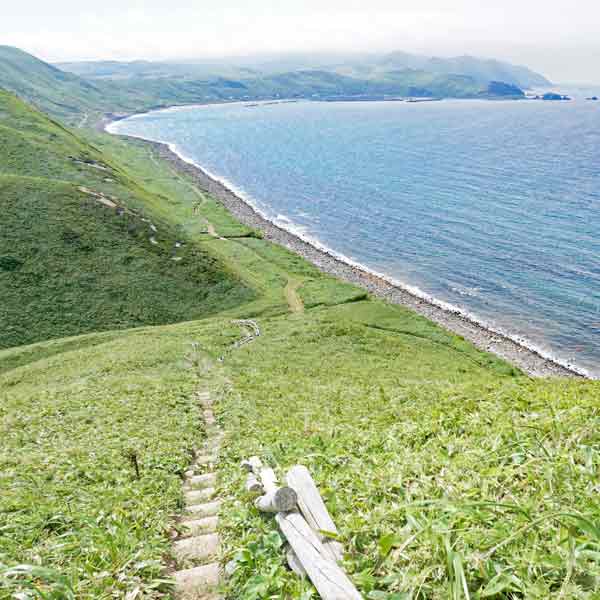 礼文島 岬めぐりコース ルート