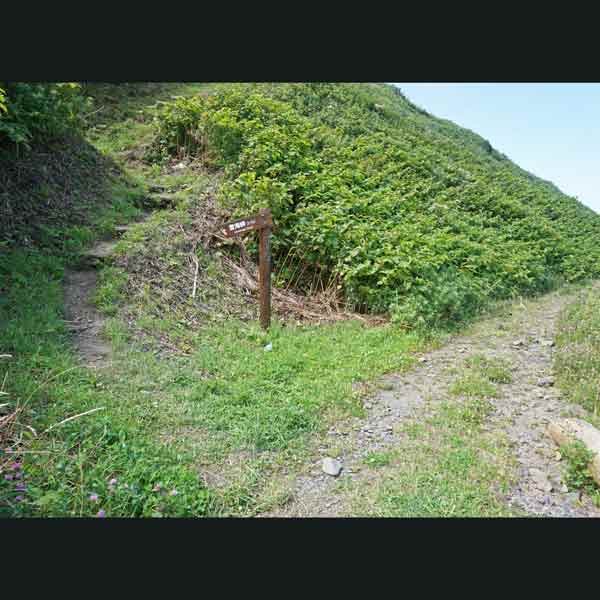 礼文島 岬めぐりコース ルート