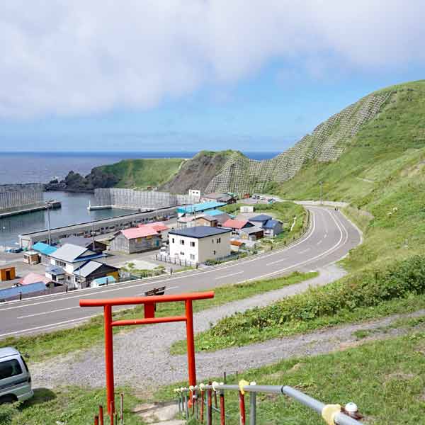 礼文島 岬めぐりコース ルート